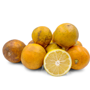 Tarragon Herb Plant - 4 Live Plants, 4-7 Inch Tall, Indoor/Outdoor