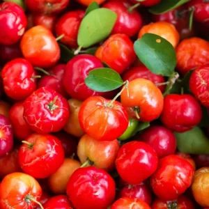 Barbados Cherry Plant, 4 Inch Pot