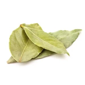 Bay Leaf Tree - Culinary Herb Plant - 2.5 Inch Pot - Fresh Flavor
