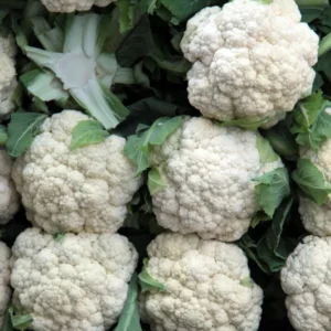 Cauliflower Plants Live Starter Plants 4-6 Inch Vegetable Plants