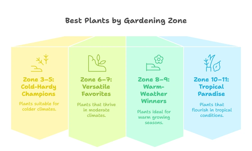 Find Your Gardening Zone & Best Plants for It