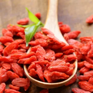 Goji Berry Plant - Live Edible Berry Starter Plant - Garden Ready