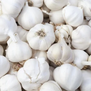 Hard Neck Garlic Bulbs for Planting - Pack of 4 Seed Garlic