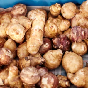 Jerusalem Artichoke Tubers - 10 Fresh Sunchokes Bulbs for Garden Planting