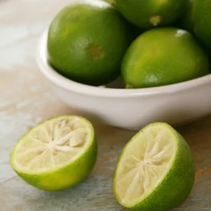 Limequat Tree - 2 to 3 Feet Tall - Citrus Hybrid Plant