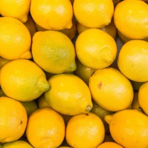 Lisbon Lemon Tree - 2 to 3 Feet - Fruit Tree - Garden Ready