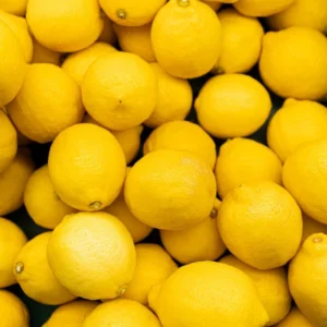 Lisbon Lemon Tree - 2 to 3 Feet - Fruit Tree - Garden Ready