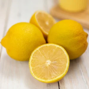 Lisbon Lemon Tree - 2 to 3 Feet Tall - Citrus Fruit Tree