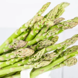 Live Asparagus Plants - 6 Pack - Planting Ready - Garden Vegetable Starts