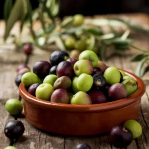 Olive Tree 3-4 ft Live Plant in Pot - Not for CA