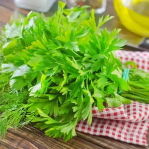 Parsley Plants Live Set - Culinary Herb Garden Starter - 5-8 Inch Height