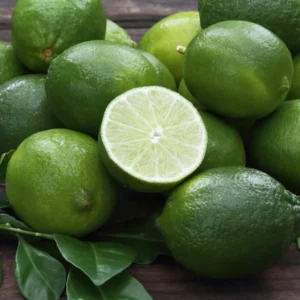 Persian Lime Tree - 2 to 3 Feet Citrus Tree