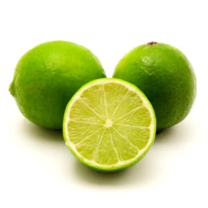 Persian Lime Tree - 2 to 3 Feet Citrus Tree