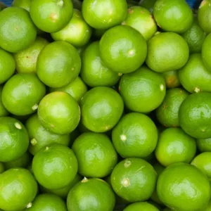 Persian Lime Tree - 2 to 3 Feet - Fruit Tree - Potted Plant