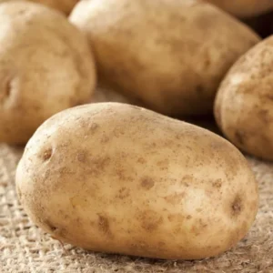 Potato Seeds for Growing Outdoors - True Potato Seeds for Home Gardens