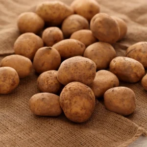 Potato Seeds for Growing Outdoors - True Potato Seeds for Home Gardens