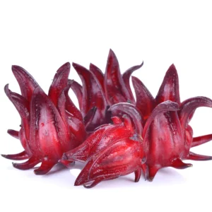 Roselle Jamaican Sorrel Live Plant, 4 to 7 Inch Tall Hibiscus Plant Edible Flower Starter Plant