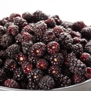 Sweet Boysenberry Plants - 2 Live Berry Plants 5-8 Inch Tall - Outdoor Garden Starter