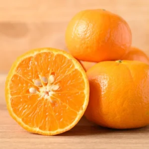 Sweet Tangerine Tree - 2 to 3 Feet Tall - Fresh Citrus Fruit