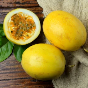 Yellow Passion Fruit Plant Live - 6-8 Inch Passionfruit Vine Edible Fruit Tree