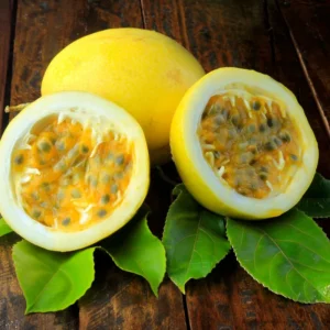 Yellow Passion Fruit Tree Live Plant - Edible Passionfruit Vine - 5-9 Inches