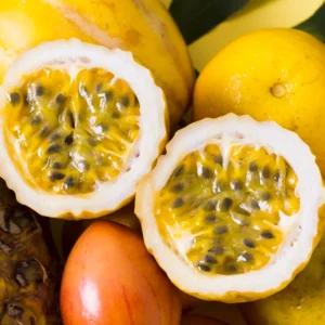 Yellow Passionfruit Plant Live Vine - Fruiting Passion Fruit Tree