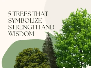 5 Trees That Symbolize Strength and Wisdom
