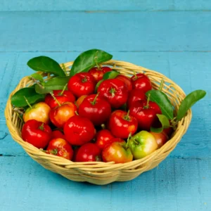 Barbados Cherry Trees - Edible Fruit Plants Live - 5-7 Inches