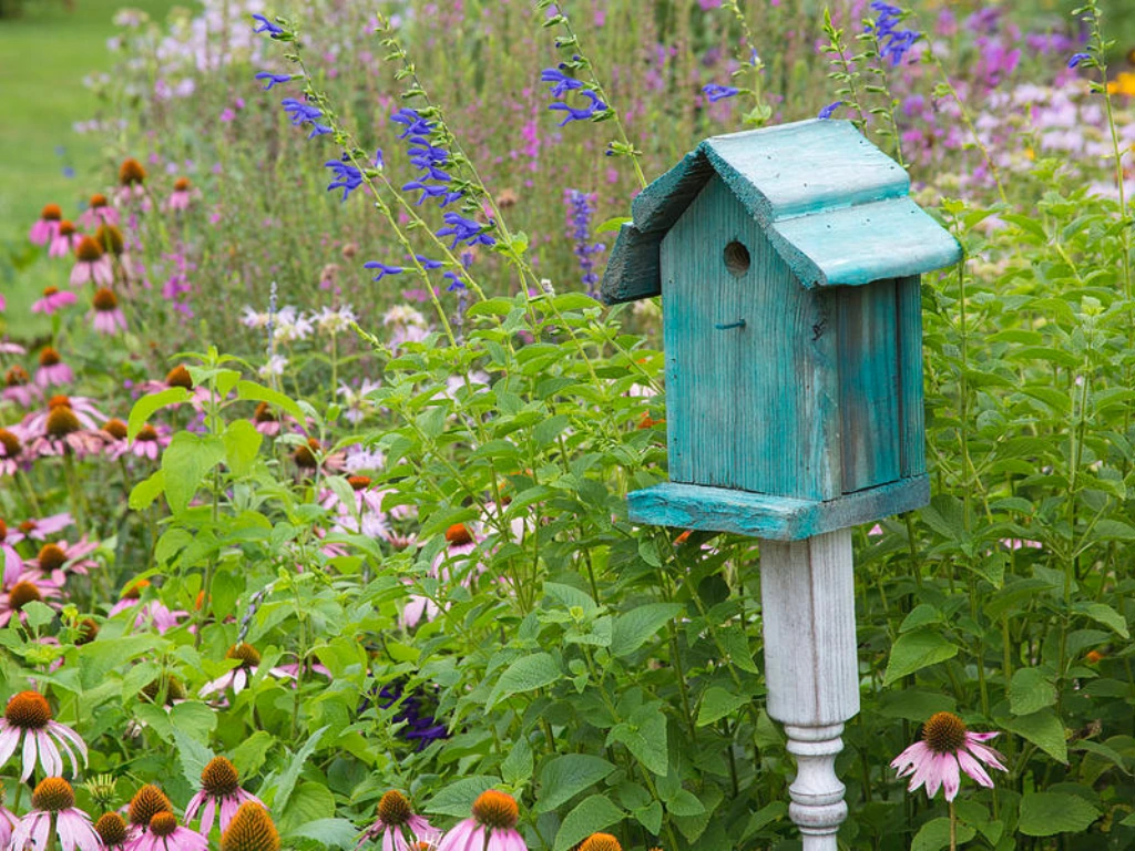 Birdhouse in garden setting, Creating a Wildlife Habitat