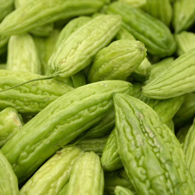 Bitter Melon Seeds - 40 Large Bitter Gourd Seeds for Home Gardening