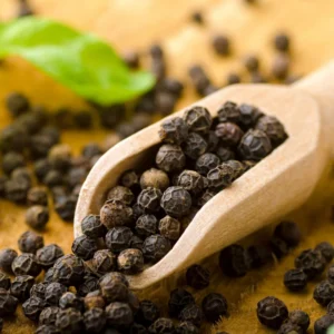 Black Pepper Plant Piper Nigrum - 4-6 Inch Starter Plant - No Pot