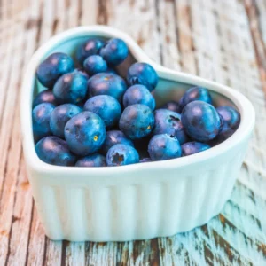 Blueberry Plants Live for Planting - Blueberry Bushes 5-9 Inches Tall