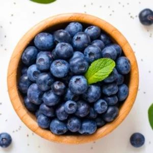 Blueberry Plants Live for Planting - Blueberry Bushes 5-9 Inches Tall