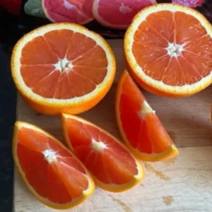 Cara Cara Orange Tree Potted 2-3 Ft Indoor Outdoor Red Orange