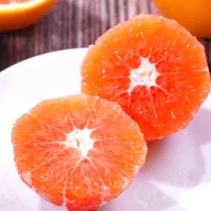 Cara Cara Orange Tree Potted 2-3 Ft Indoor Outdoor Red Orange