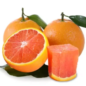 Cara Cara Orange Tree Potted 2-3 Ft Indoor Outdoor Red Orange