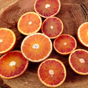 Cara Cara Orange Trees Live Plant 2-3 Feet Tall Citrus Tree