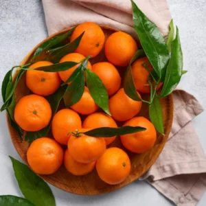 Clementine Trees Live Plants - 2 to 3 Feet Tall - 1 Gallon Pot - Citrus Fruits