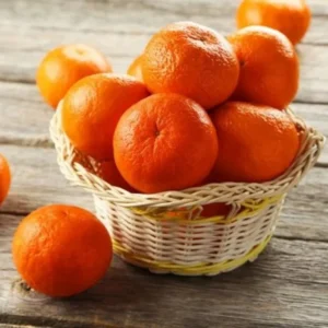 Clementine Trees Live Plants - 2 to 3 Feet Tall - 1 Gallon Pot - Citrus Fruits