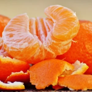 Clementine Trees for Planting Potted Citrus Plant 2 to 3 Ft Indoor Outdoor