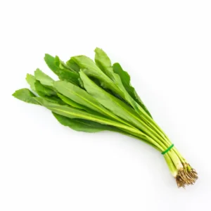 Culantro Seeds - 1000 Recao Cilantro Vegetable Seeds for Garden Growing