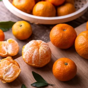 Dancy Tangerine Tree Live Plant 2-3 Feet Tall 1 Gallon Pot