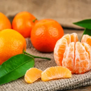 Dancy Tangerine Tree Live Plant 2-3 Feet Tall 1 Gallon Pot