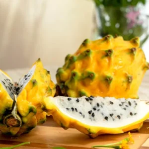 Dragon Fruit Plants Live - 2 Yellow Sweet Fruit Starter Plants