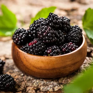 Everbearing Blackberry Plants - 4 Pack Thornless Bushes - High-Yield Garden Variety