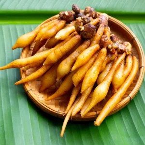 Finger Root Plant - 4-6 Inch Bare Root Outdoor Garden Plant