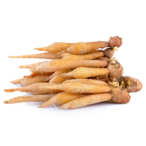 Finger Root Plant - 4-6 Inch Bare Root Outdoor Garden Plant