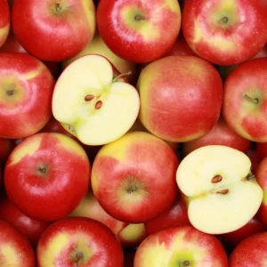 Gala Apple Trees Live Plants - 24 to 30 Inches Tall Red Fruit