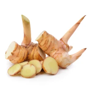 Galangal Root Plant, Thai Ginger Starter, 4-6 Inch, Outdoor Garden Plant