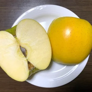 Golden Delicious Apple Trees - Live Plants 24-30 Inches Tall - Yellow Fruit